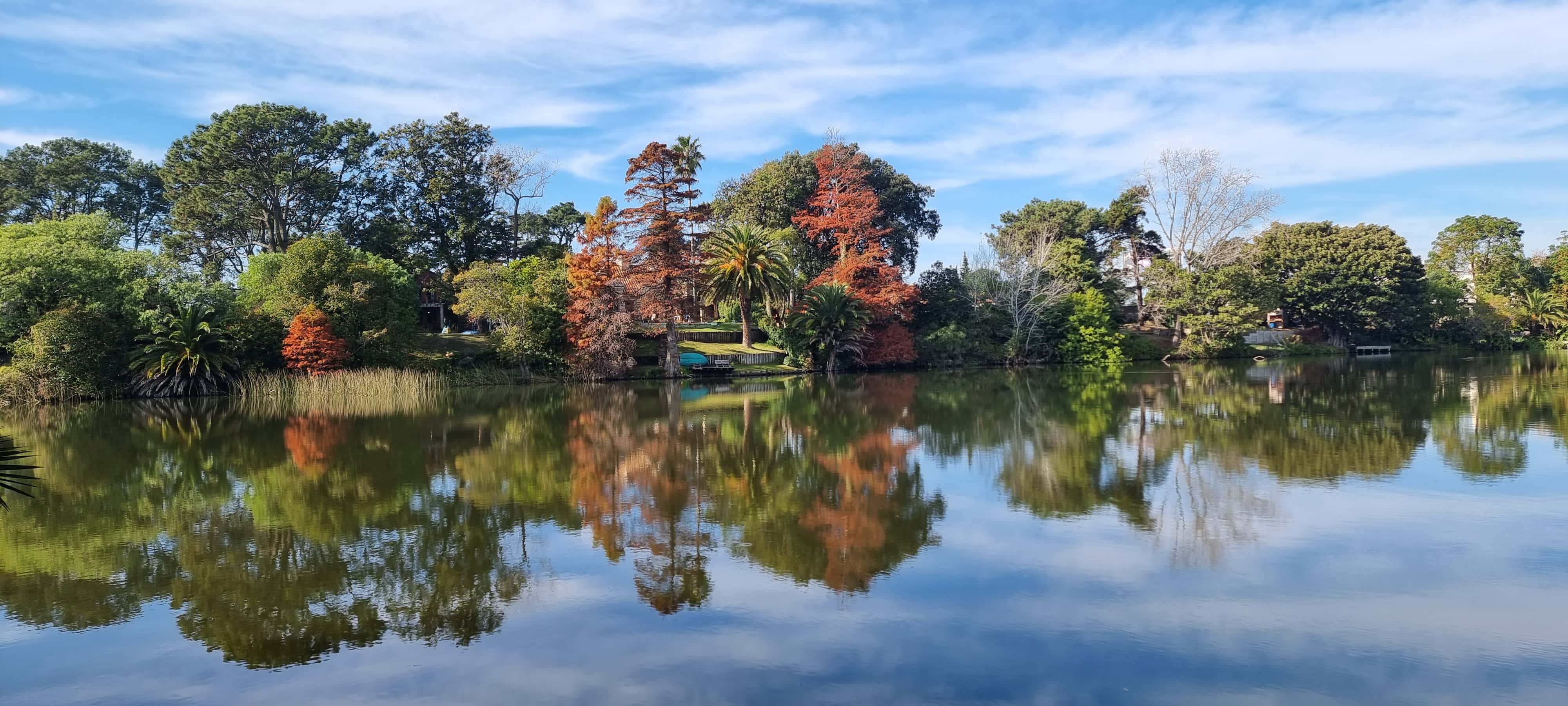 Imagen ingresar a Parque Miramar